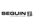 Seguin