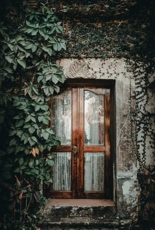 porte vitrée en bois